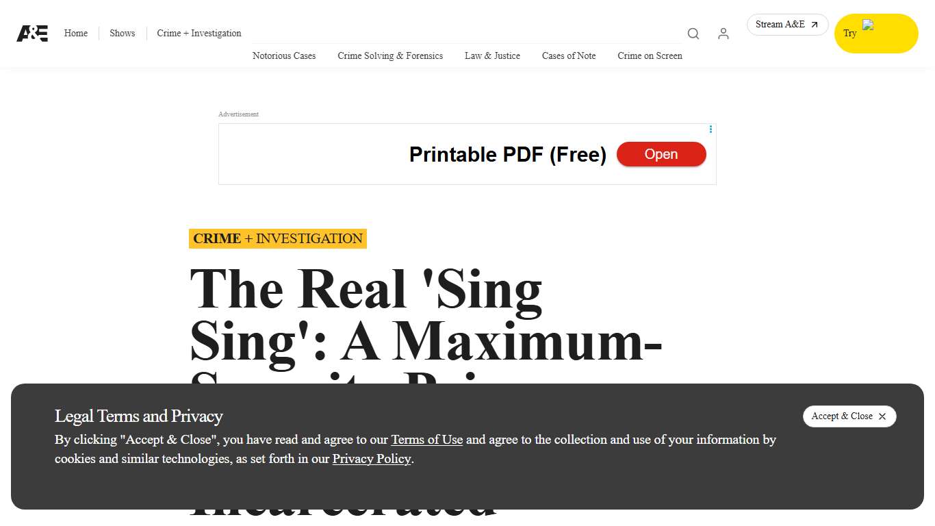 The Real Sing Sing: From Prison Yard to Center Stage